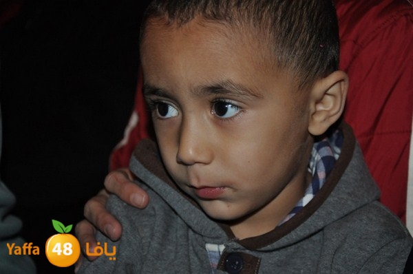 tree light 1208 (100).JPG